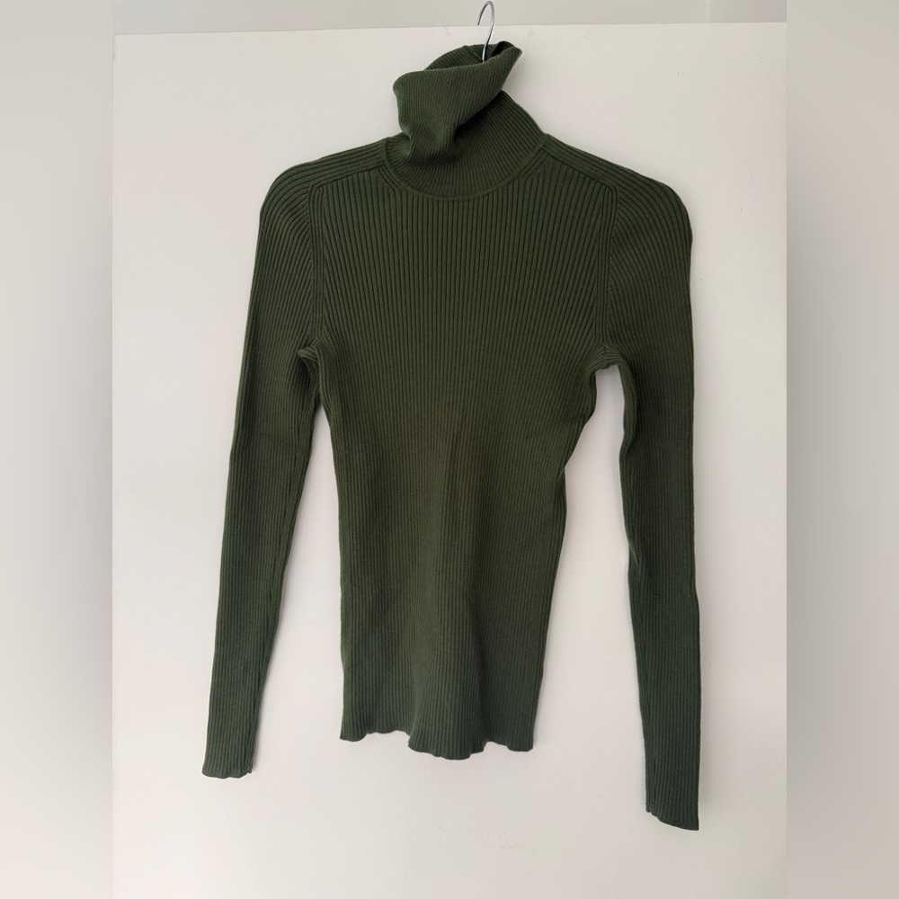 Everlane Ribbed Merino Wool Turtleneck Sweater